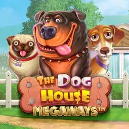 The Dog House Megaways game at Jeetcity Casino for Australia players The Dog House Megaways game at Jeetcity Casino for Australia players