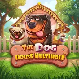 The Dog House Multihold game at Jeetcity Casino for Australia players The Dog House Multihold game at Jeetcity Casino for Australia players
